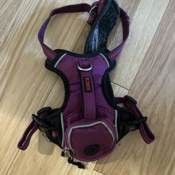 Dog Harness