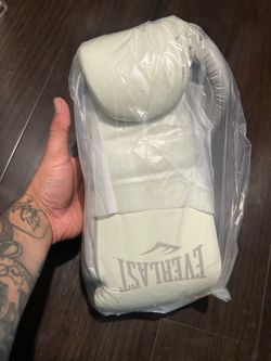 Everlast 10 ounce pro fight gloves