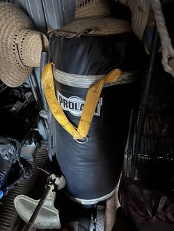 Prolast Punching Bag