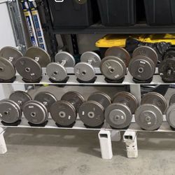 Dumbbells With Rack