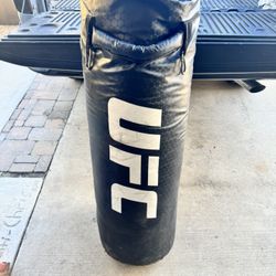 UFC Octagon Punching Bag