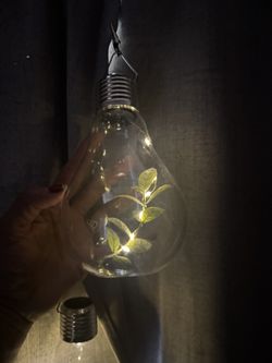 Solar Spotlights/Focos Solares 