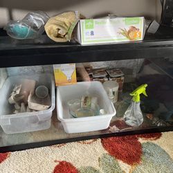 Pet Tank With Screen Top