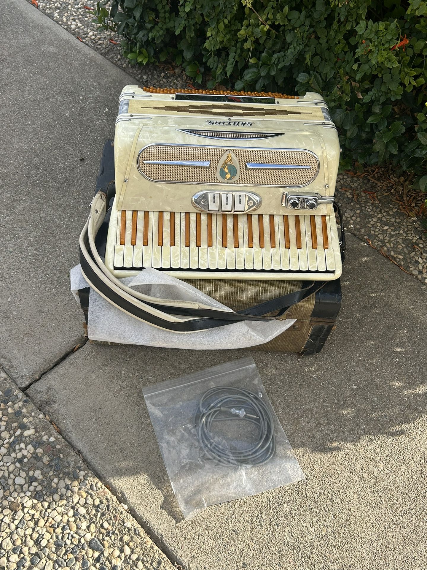 Beautiful Electric Italian Piano  🎹 Cantino Accordion, circa 1950's, with original case | Reverb