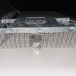 Animal Trap