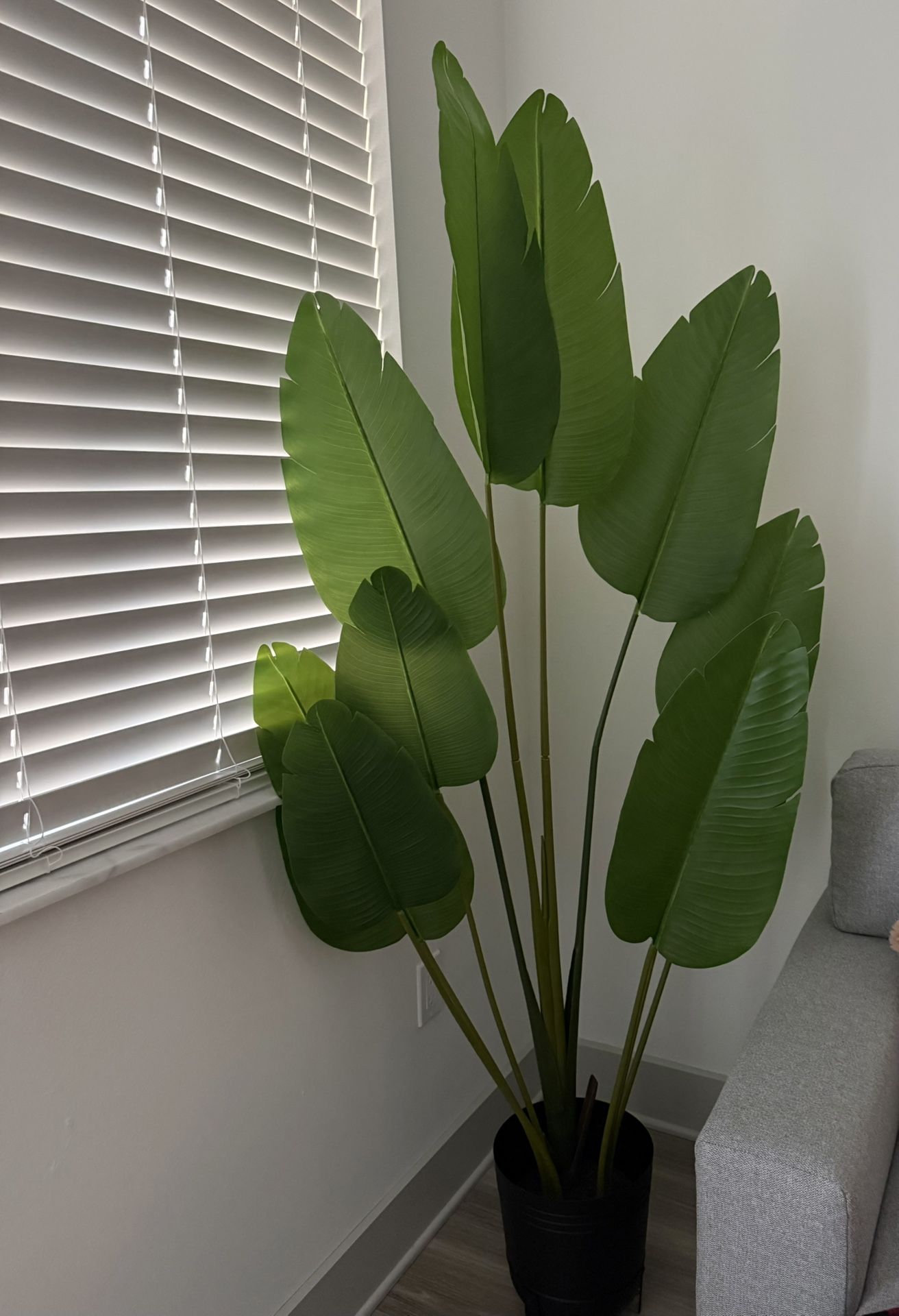 Fake Plant