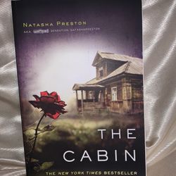 the cabin paperback book