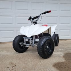 Custom 48v Razor Quad 500 (Electric)
