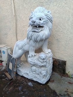 León Para Patio