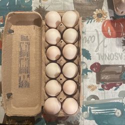 Fresh Duck Eggs