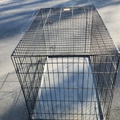 Dog Cage For a Bigger Dog 