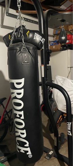 Punching bag