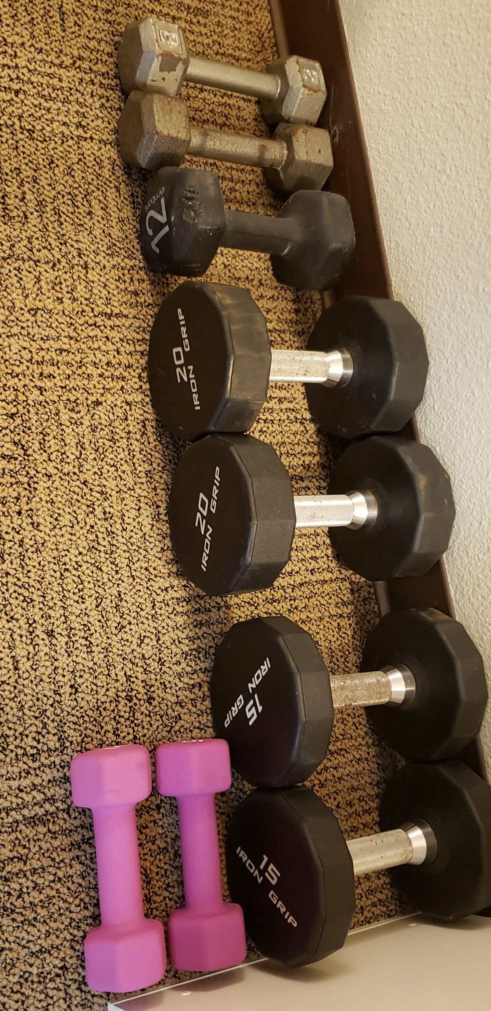 Gym quality dumbbells