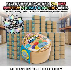 Mystery Squishy Dumpling Toys Bulk Lot x75