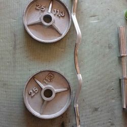 Curl Bar and Weights 
