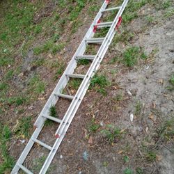 Extension ladders for sale deals