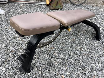 Paramount Fitness Bench