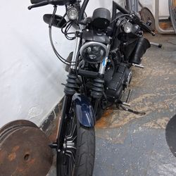 2012 Harley Sportster Xl