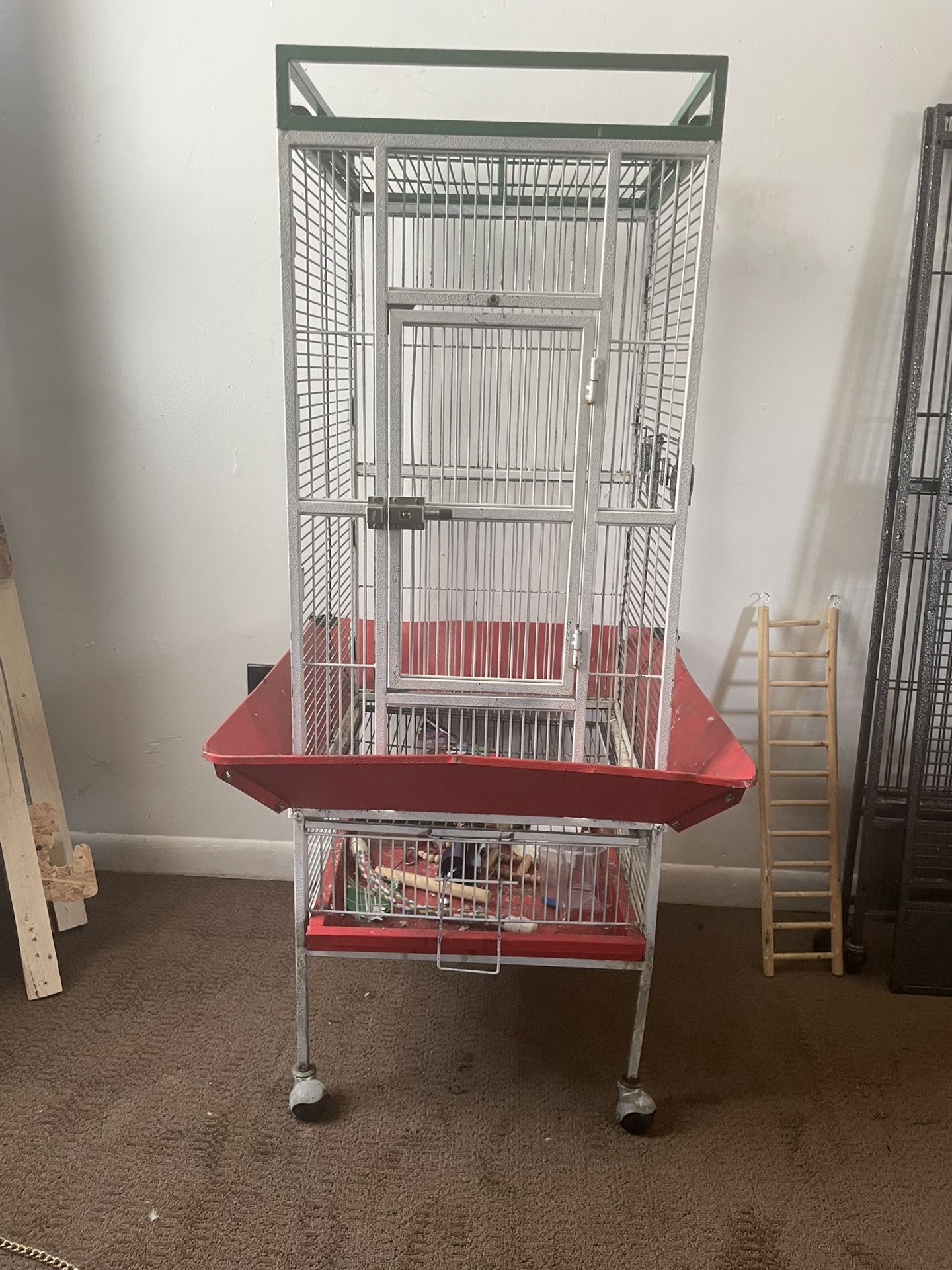 Bird Cages