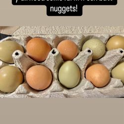 Farm Fresh Eggs! SNAP CUSTOMERS 