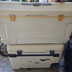 Large Coolers