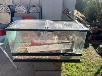 Reptile Tank