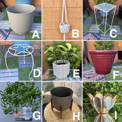 Flower Pots and Plant Supplies