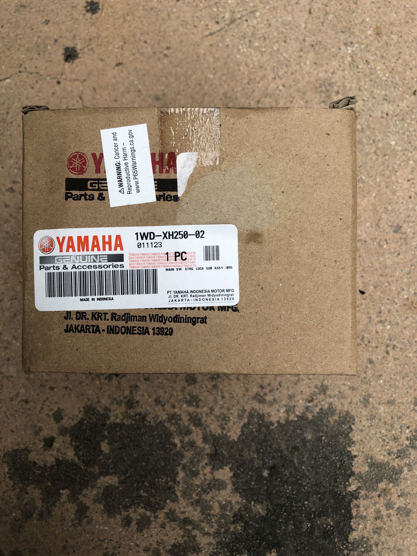Yamaha Original OEM Ignition Set