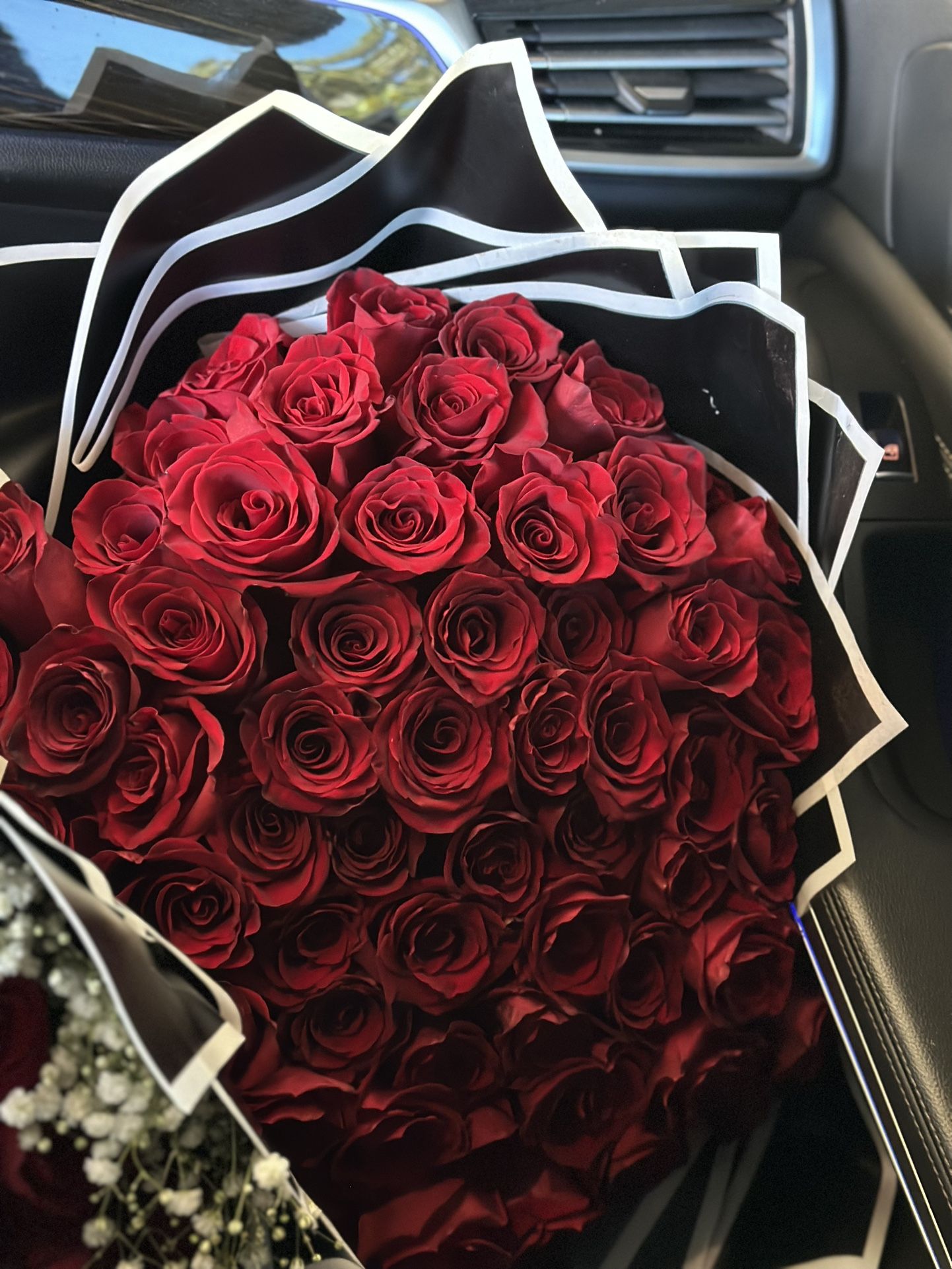Flower Roses 