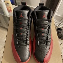FLU GAME 12s