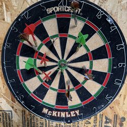 Sportcraft McKinley Bristle Dartboard