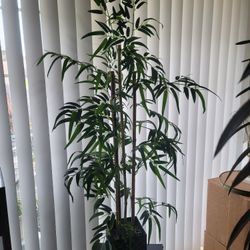 NICE FAKE TALL PLA IN VASE ..ONLY ASKING  