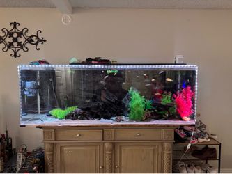 180 Gallons acrylic and stand