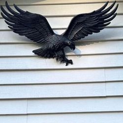 38 by 20 Outdoor House Eagle 