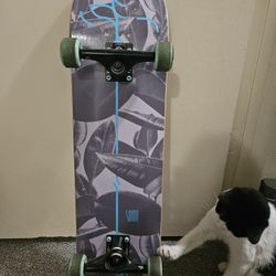 Sovrn Skateboard