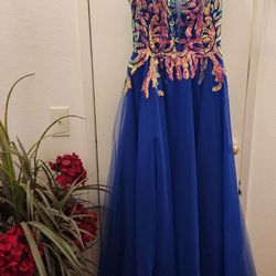 Blue Dress Brand New