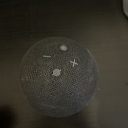 Alexa echo dot
