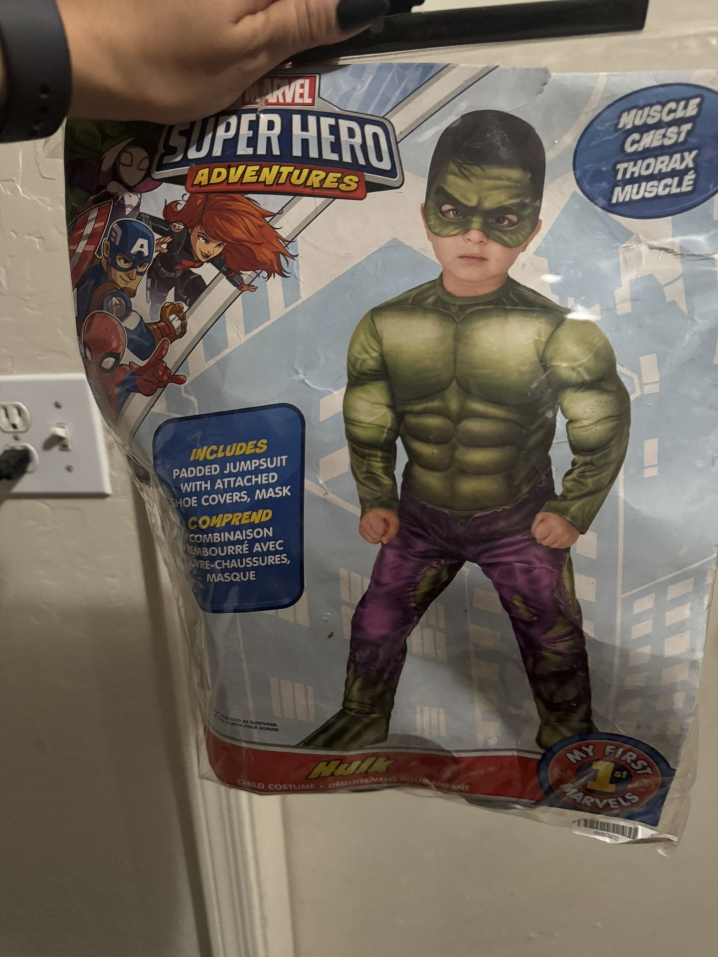 Hulk Costume (3T)