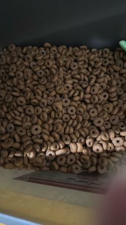Free dog food