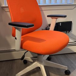 Nouhaus Palette Ergonomic Mesh Desk Chair