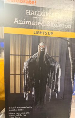 HALLOWEEN Animated Skeleton