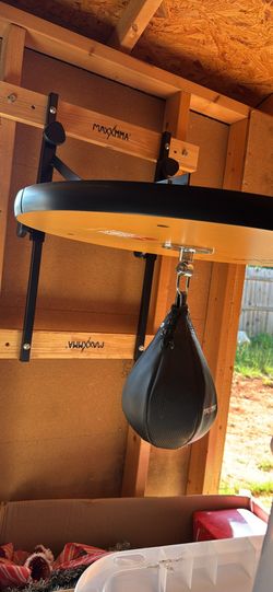 Boxing Speed Bag