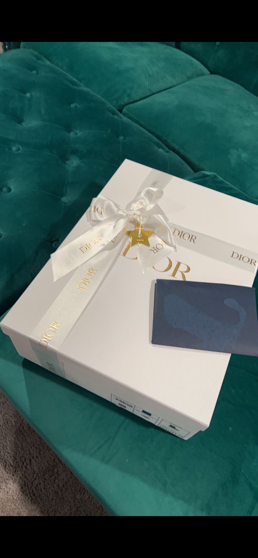 Christian Dior Snow Boots