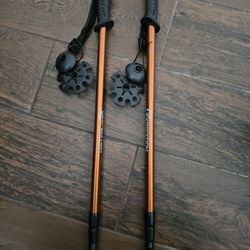 Vantage Alpine Trekking Poles