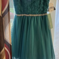 Color Jade Dress Size 9