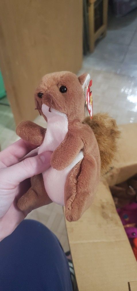 TY Beanie Babie "Nuts" #4114 Collectible