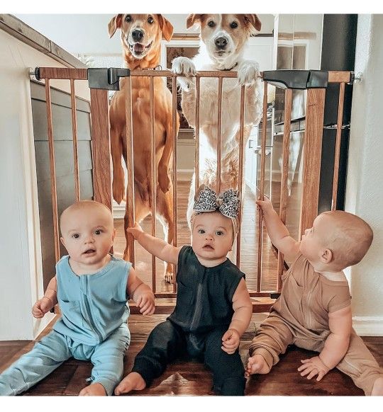Mom's Choice Award Winner-BABELIO Metal Baby Gate with Wood Pattern, 29-40" Easy Install Pressure Mounted Dog Gate, Ideal for Stairs and Doorways, wit