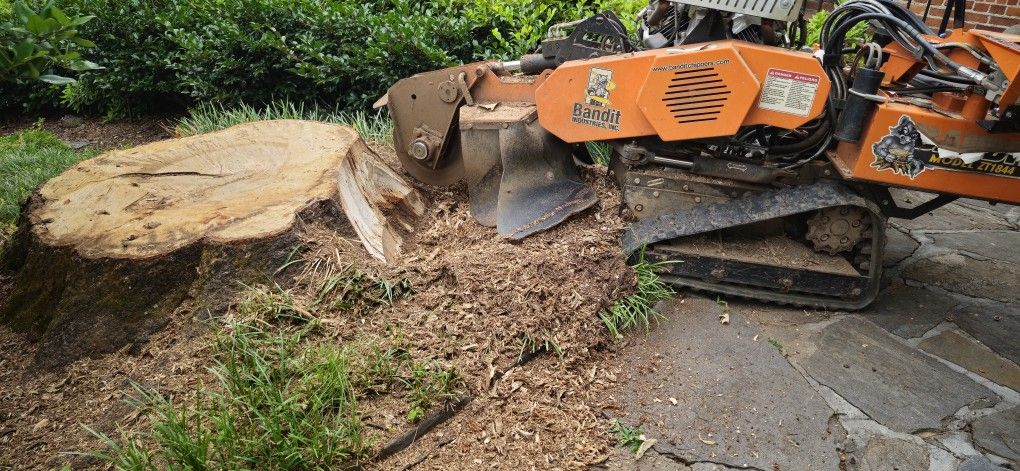 Stump Grinding