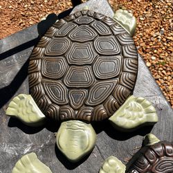New Solid Concrete Turtle, Stepping Stone