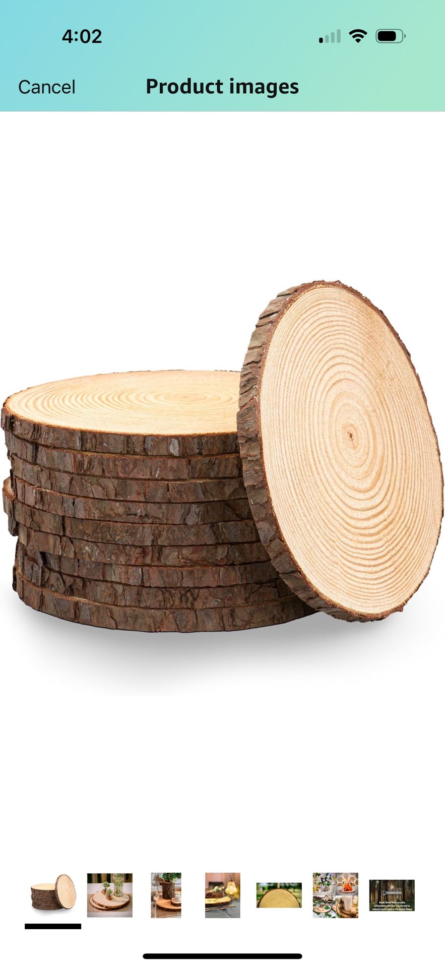 Set of 10 Large Wood Slices (10-12”) – Rustic Wooden Roun